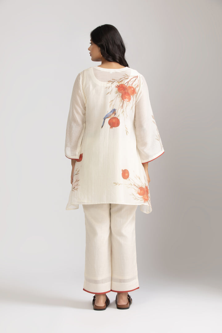 Ivory Anaar Embellished Silk chanderi Kurta Set
