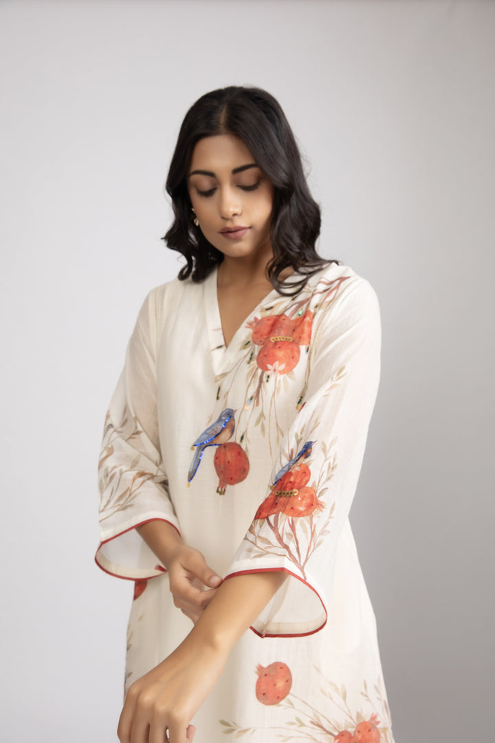 Ivory Anaar Embellished Silk chanderi Kurta Set