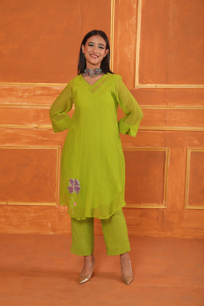 Parrot Green Hand Embroidered Chanderi Coord Set