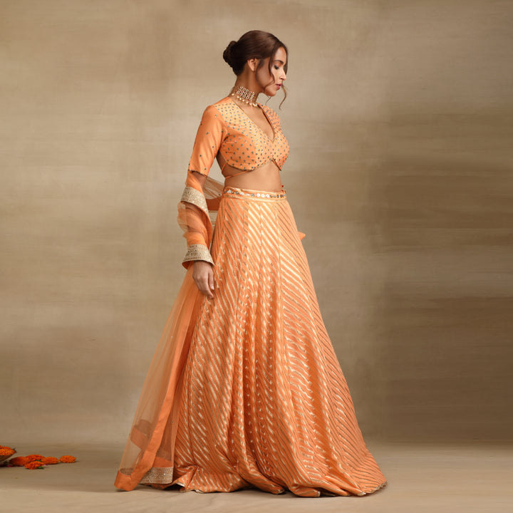 Peach Silk Tissue Embellished Lehenga Set