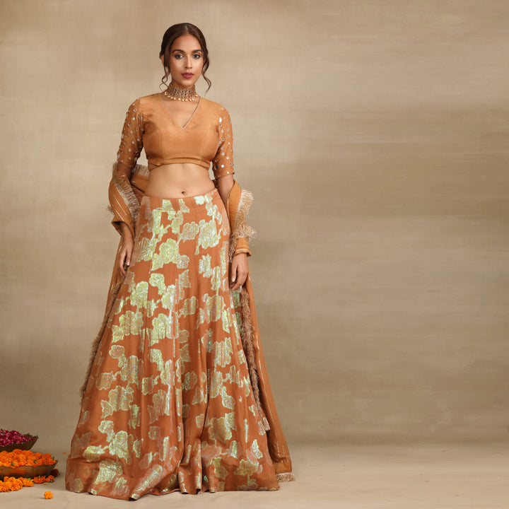 Brown Silk Tissue Embellished Mirror Lehenga Set