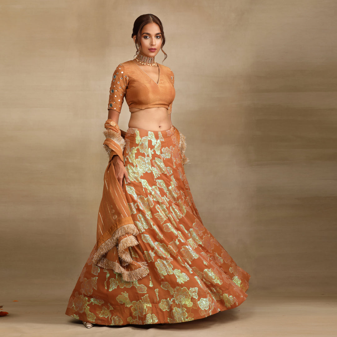 Brown Silk Tissue Embellished Mirror Lehenga Set