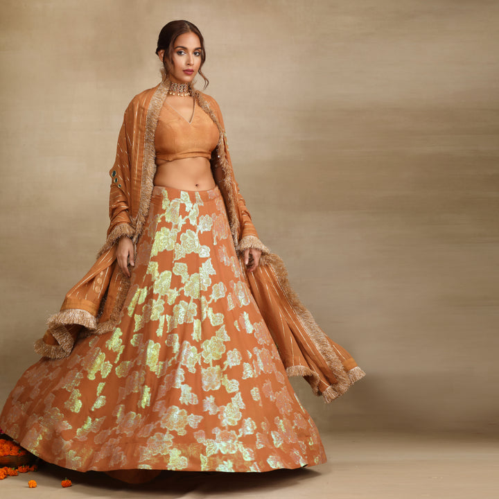Brown Silk Tissue Embellished Mirror Lehenga Set
