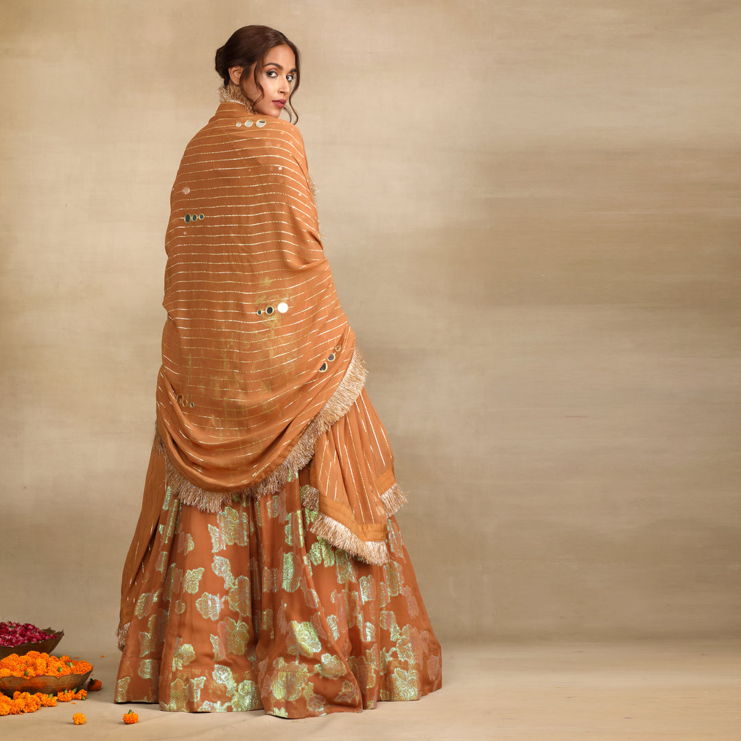 Brown Silk Tissue Embellished Mirror Lehenga Set