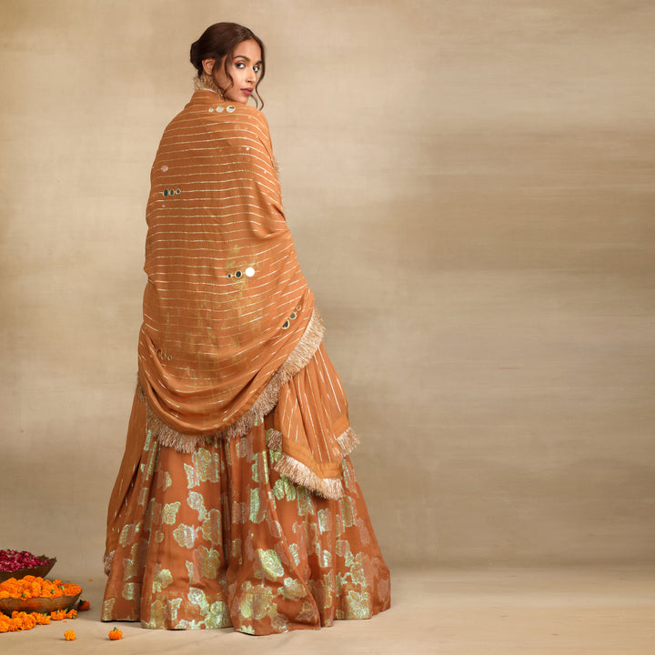 Brown Silk Tissue Embellished Mirror Lehenga Set