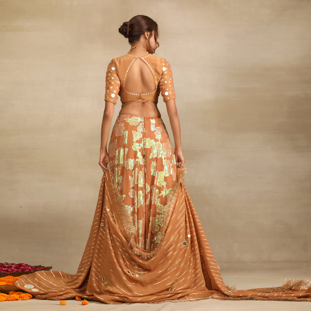 Brown Silk Tissue Embellished Mirror Lehenga Set