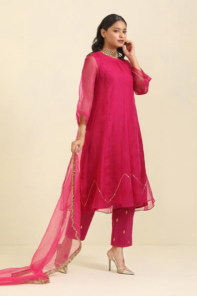 Magenta Hand Embroidered Organza Suit Set