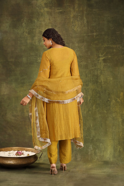 Mustard Pitta Hand Embroidered Silk Chanderi Suit Set