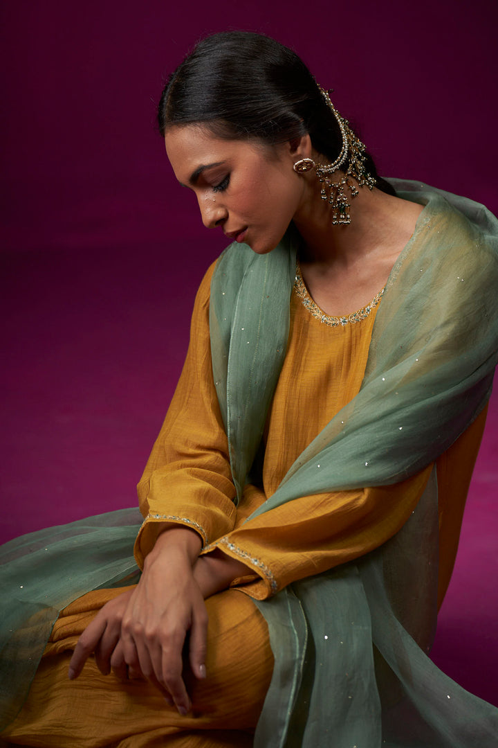 Nooran Anarkali Hand Embroidered Kajri Anarkali Set - Set of 2