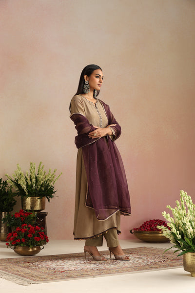 Bukhara Ishq Mukaish Organza Odhani