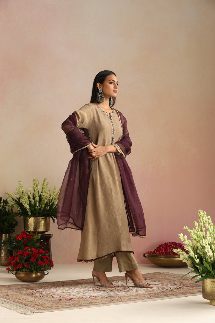 Khanak Ishq Tissue Kurta Set