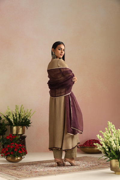 Bukhara Ishq Mukaish Organza Odhani