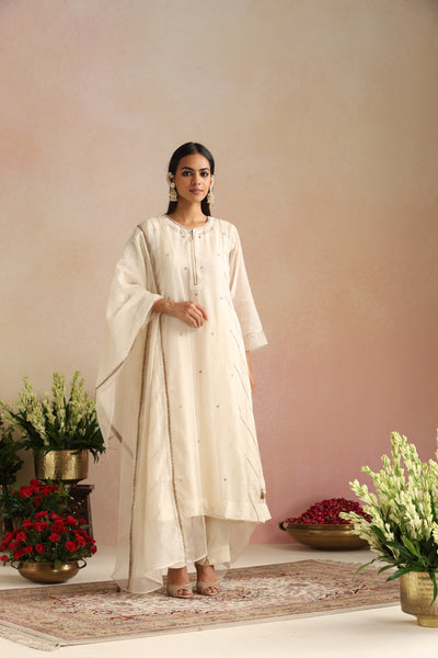 Roshni Ishq Kurta Set - Set of 2