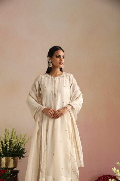 Roshni Ishq Kurta Set - Set of 2