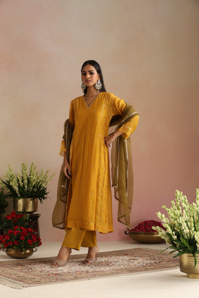 Basant Ishq Kurta Set - Set of 2
