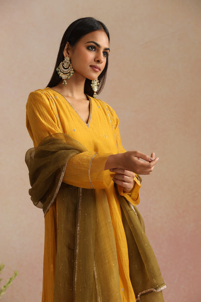 Basant Ishq Kurta Set - Set of 2