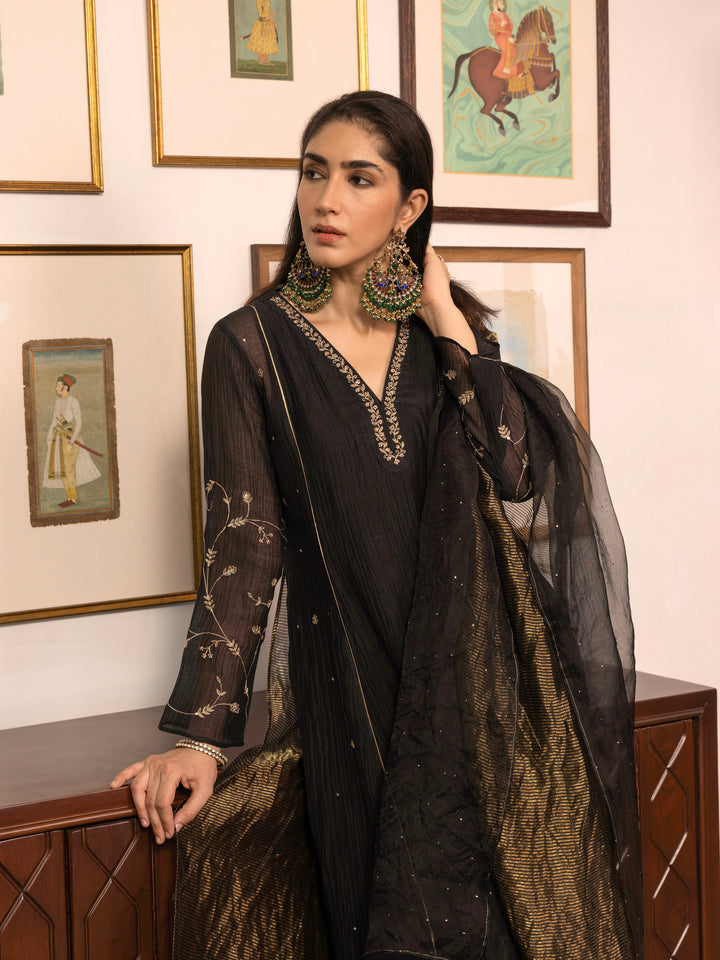 Shabana Dastaan Kurta Set